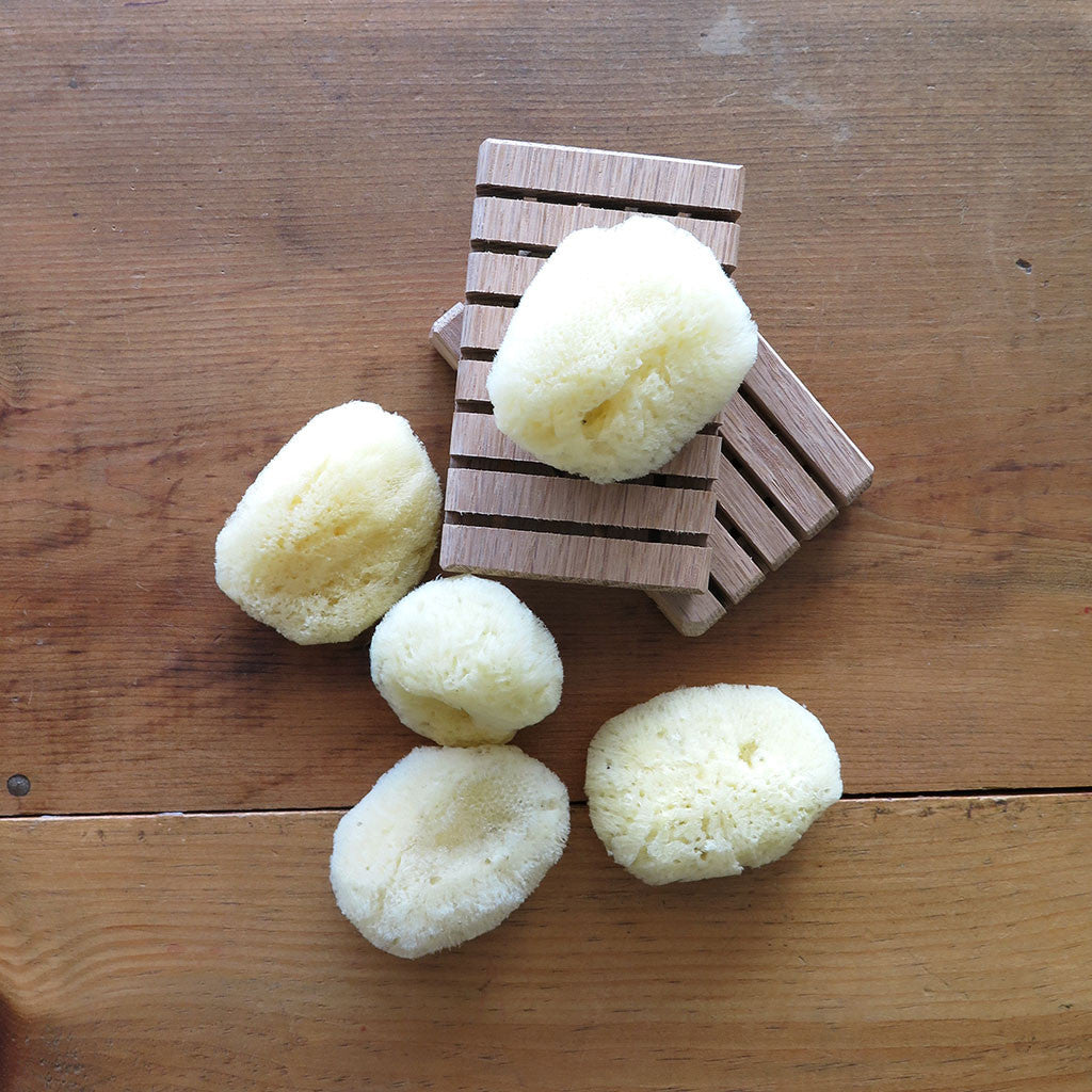 Handmade White Oak Soap Decks and Silk Sea Sponges